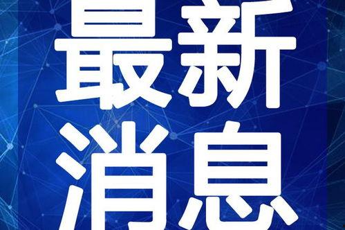 内鬼爆料消息犯法吗视频,法律边界与道德拷问